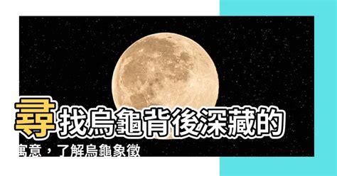 烏龜代表什麼意思|龜鱉目